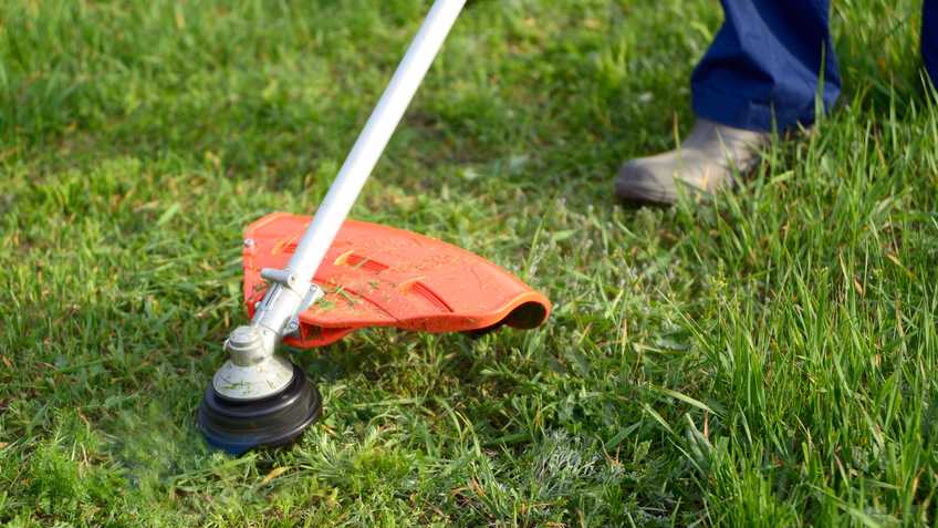 Line Trimmer