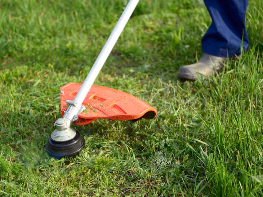 line-trimmer