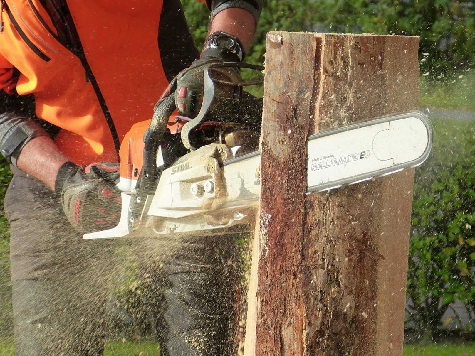 action-adult-chainsaw