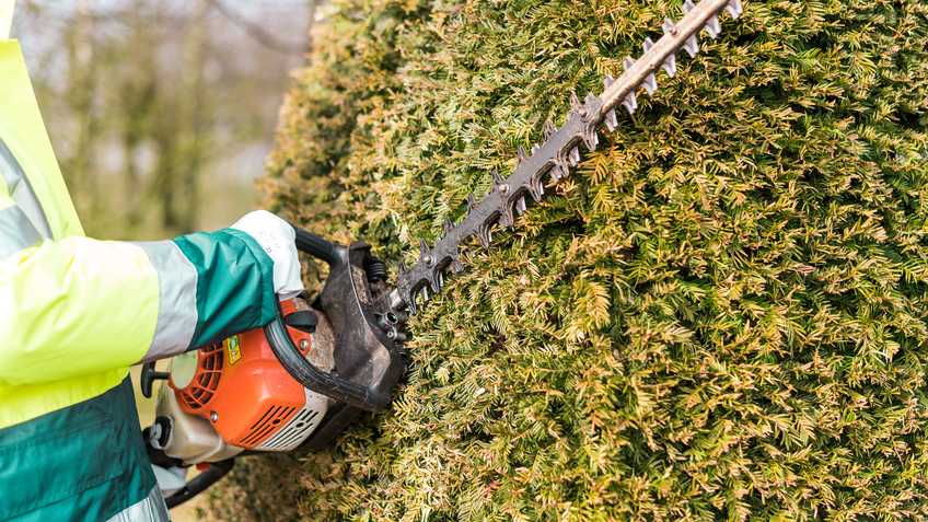 Hedge Trimmer