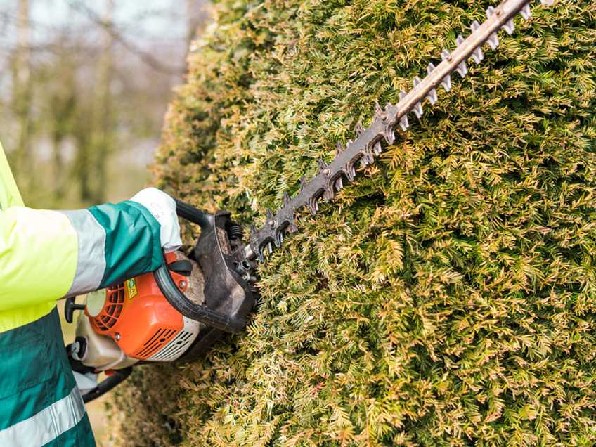hedge-trimmer